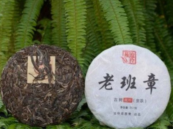老班章古树（纯料生普）