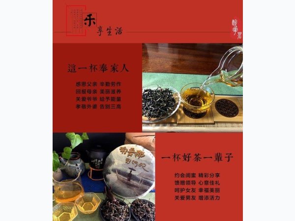 云南普洱茶生茶头春茶 357饼茶特级料 图3
