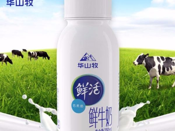 华山牧鲜活巴氏奶 图1