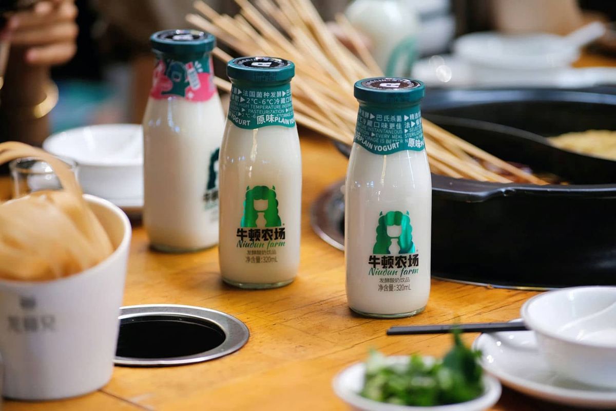 牛顿农场发酵酸奶320ml