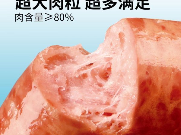 齐赞原味肉肠 图5