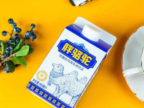 胖骆驼 驼酸奶 图4