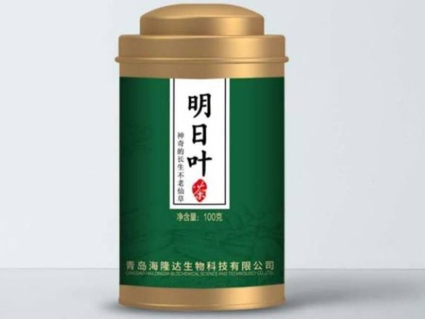 明日叶 图1