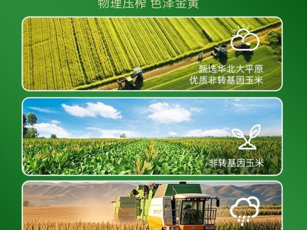 玉星倍护力玉米油5升/瓶 图4