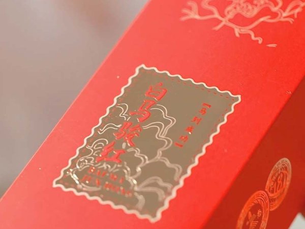 马到成功 图2