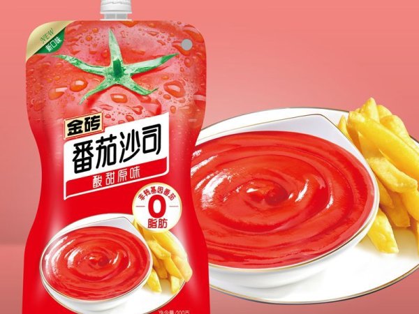 金砖番茄沙司原味 图2