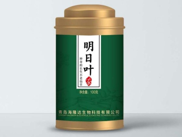 明日叶 图2