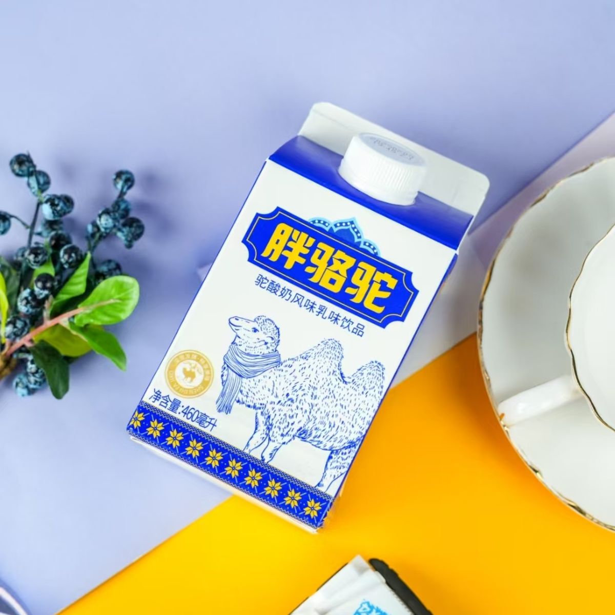 胖骆驼 驼酸奶