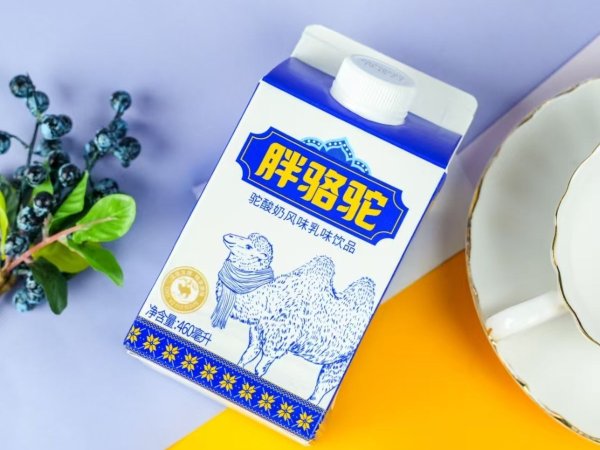 胖骆驼 驼酸奶 图5