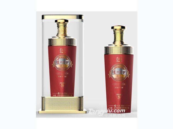 泸州老窖特别酿制天颐酒坛 图1