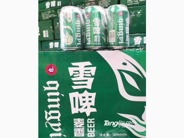 麦香雪啤 320mlx24罐 图1