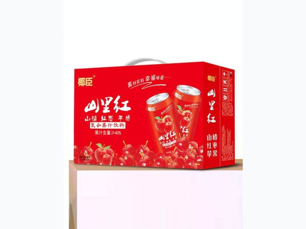 椰臣-山里红复合果汁饮料 图1