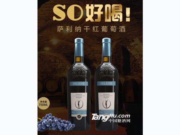 萨利纳干红葡萄酒 图1
