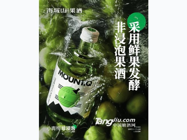青梅果露酒338ml 图3