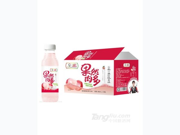 果然肉多荔枝椰果复合果汁饮料450ml 图1