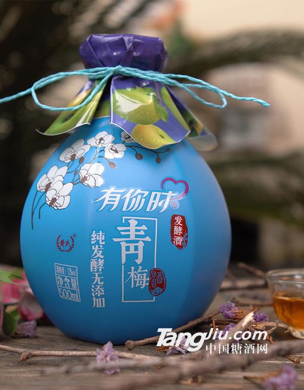12&deg;有你时青梅发酵酒-500ml
