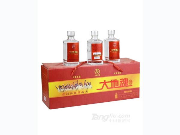 100ml大地魂浓香小酒（手提盒） 图1