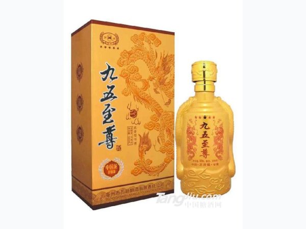 九五至尊 图2