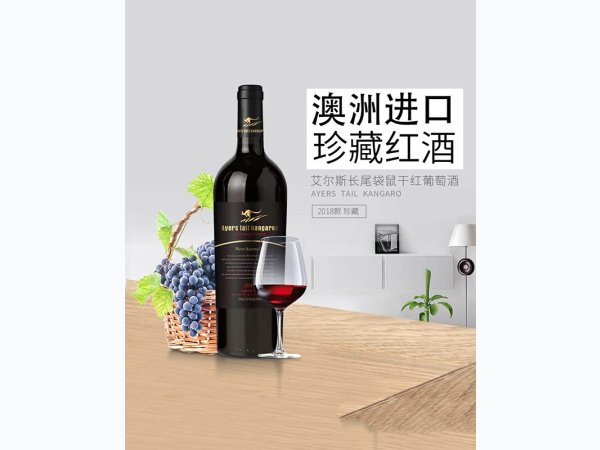 艾尔斯长袋鼠 图2