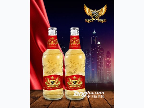 春季新品大瓶啤酒格优惠 图1
