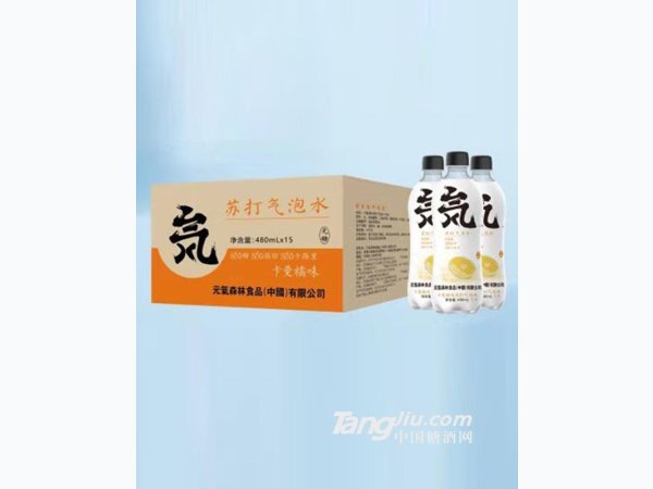 苏打气泡水-卡曼橘味480ml 图2