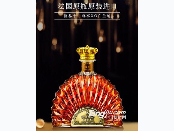 路易十二尊享XO白兰地 图1