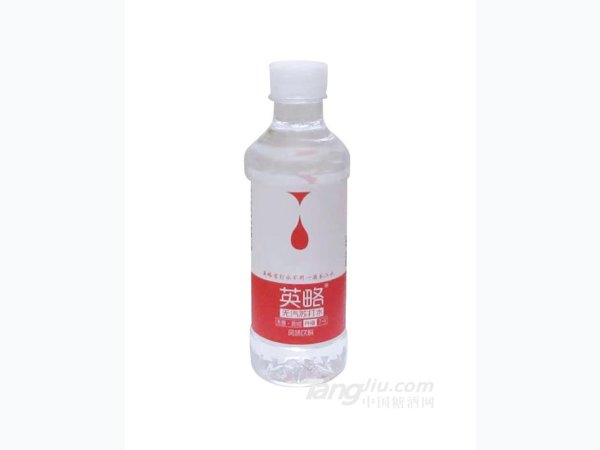 英略无汽苏打水360ml 图1