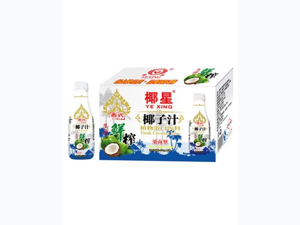 椰星泰式鲜榨椰子汁500gx15瓶 图1