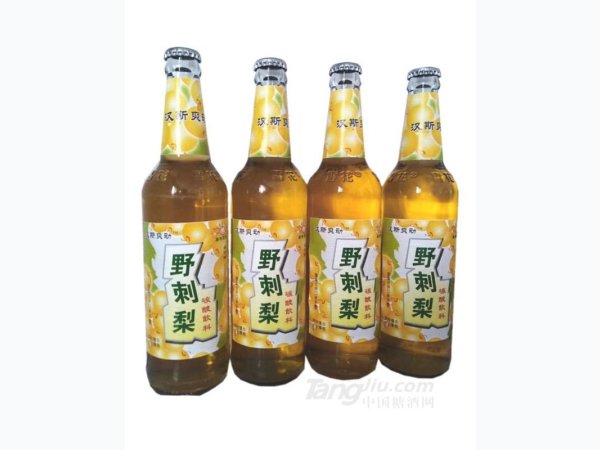 野刺梨碳酸饮料 图1