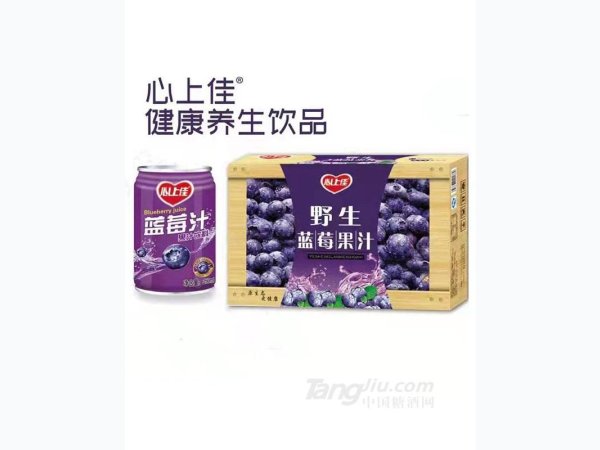 心上佳-蓝莓汁250ml 图1