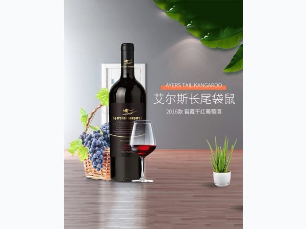 艾尔斯长袋鼠 图1