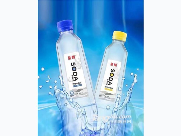 皇鲲苏打水饮料500ml