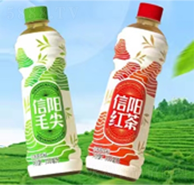 茶动能信阳毛尖+信阳红茶调味茶饮料500ml